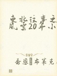 东北往事之黑道风云20年小说