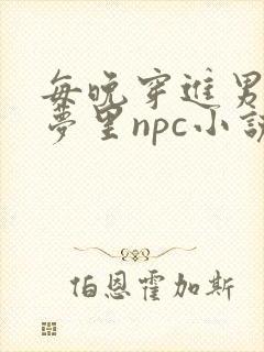 每晚穿进男神的梦里npc小说