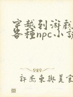 穿越到游戏里和各种npc小说封面