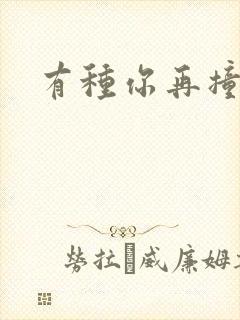 有种你再撞一下