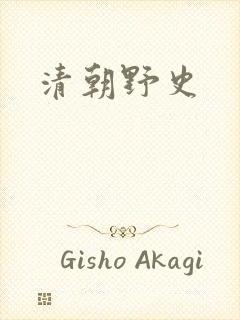 清朝野史封面