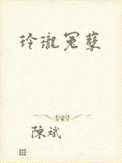 玲珑冤孽封面