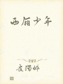 西厢少年