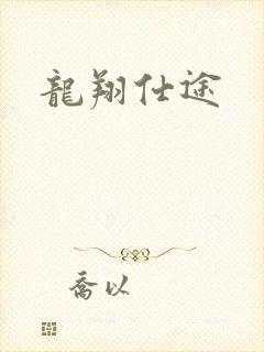 龙翔仕途封面