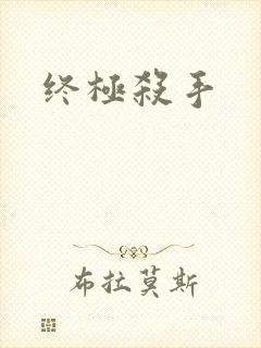 终极杀手封面