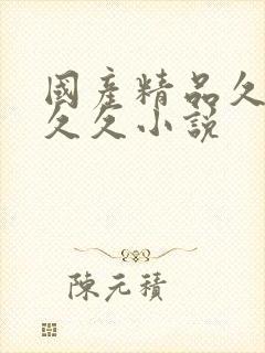 国产精品久久久久久小说
