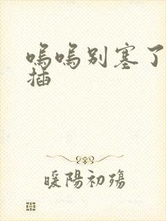 呜呜别塞了啊抽插