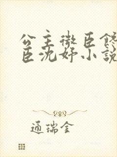公主微臣馋了微臣沈妤小说