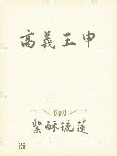 高义王申