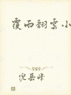 覆雨翻云小说