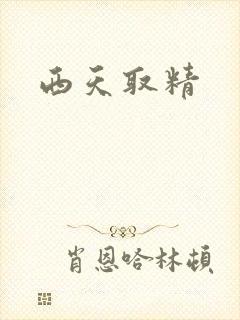 西天取精