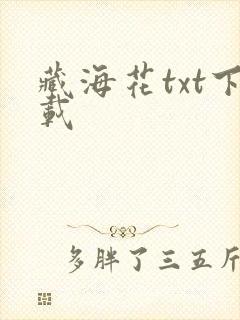 藏海花txt下载
