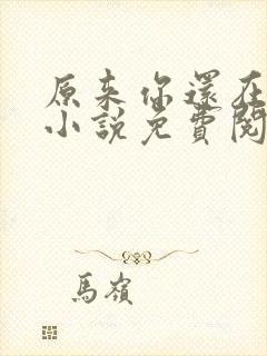原来你还在这里小说免费阅读