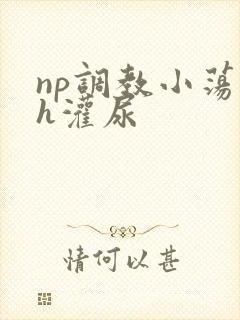 np调教小荡货h灌尿