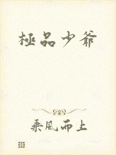 极品少爷