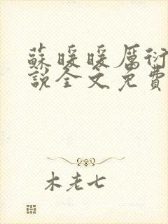 苏暖暖厉衍琛小说全文免费阅读