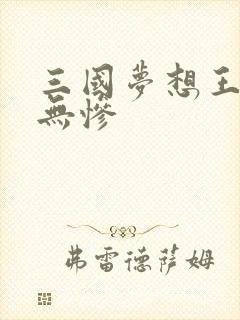 三国梦想王元姬无惨