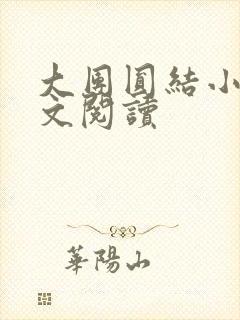 大团圆结小茹全文阅读封面