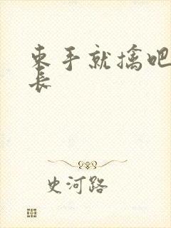 束手就擒吧韩队长