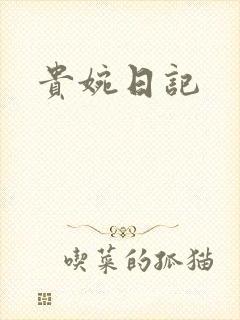 贵婉日记