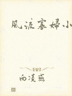风流寡妇小说