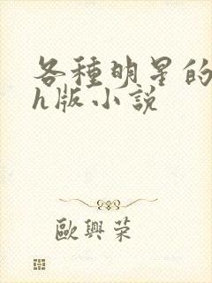 各种明星的综艺h版小说封面