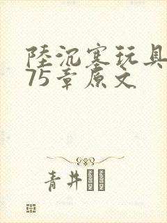 陆沉塞玩具高速75章原文