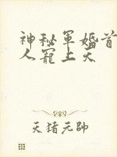 神秘军婚首长大人宠上天封面