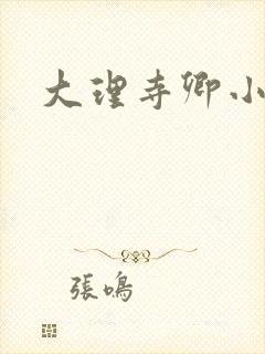 大理寺卿小说