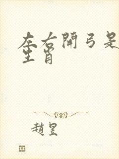 左右开弓是什么生肖封面