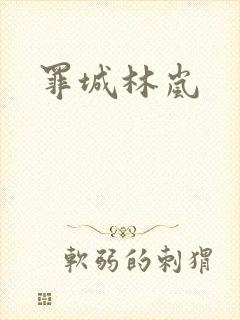 罪城林岚