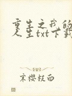 重生之我的书记人生txt下载