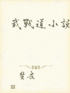 武战道小说