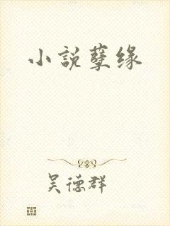 小说孽缘