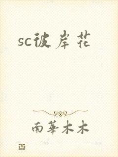 sc彼岸花