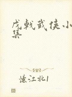 戊戟武侠小说全集