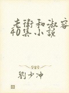 老卫和淑容1-40集小说封面