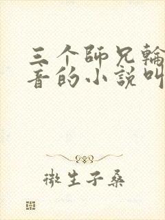 三个师兄轮流上音的小说叫什么封面