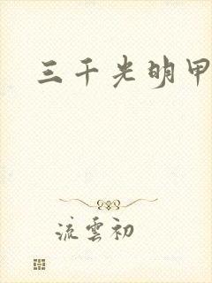 三千光明甲