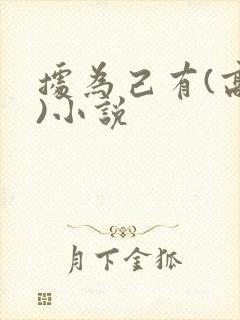 据为己有(高干)小说