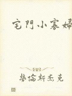 宅门小寡妇