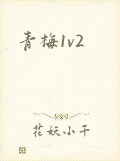 青梅1v2封面
