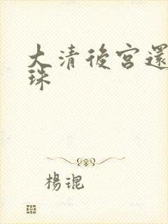 大清后宫还君明珠封面