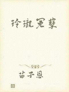 玲珑冤孽封面