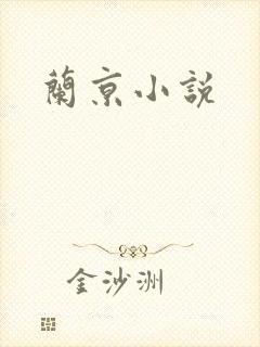 兰京小说
