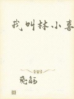 我叫林小喜17封面