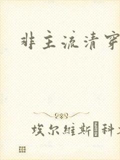 非主流清穿