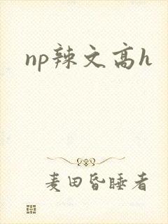 np辣文高h