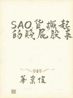SAO货撅起你的贱屁股来封面