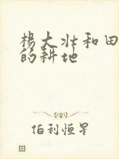 杨大壮和田桂花的耕地